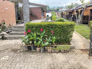 Oase Resort Bandung - 1