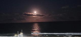 Art Studio - Praia de Armação - 18m Unid 934 - 1