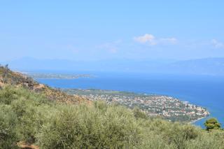 Farma Koudoura - 3