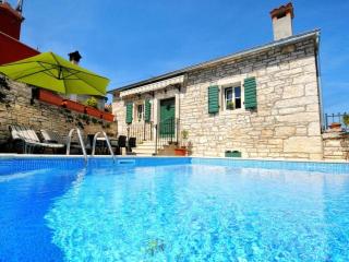 Villa in Tinjan with swimming pool - 0