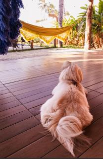 Casa Barra de S Miguel Pet friendly - 4
