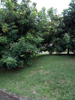 Cabaña La Conquista - 5