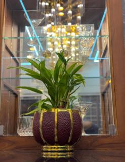 2 bhk luxury independant heritage villa - 5