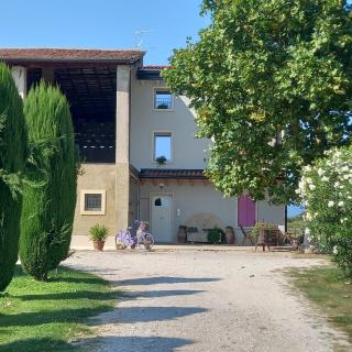 Agriturismo Corte Bonetti - Appartamento i Cipressi - 0