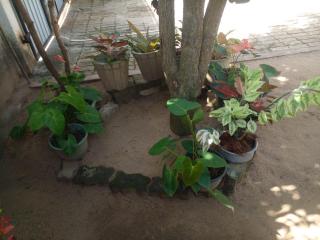 Amible Guest Home - 3