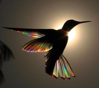 Suites Coloniales de Lujo con Vista Panorámica de Quito - 8