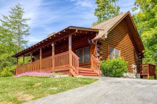 ER80 - Can't Bear to Leave cabin - 9