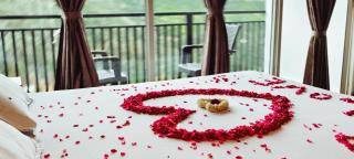 CARMEL HOME STAY - 5