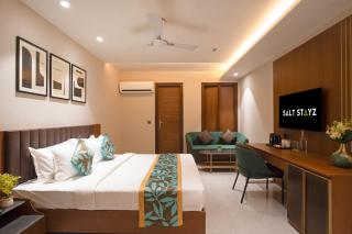 Saltstayz Premier - Naraina, Central Delhi - 5