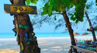 Longbeach Kohphayam - 8