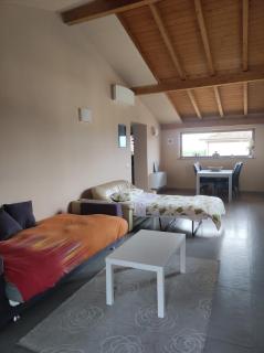 La tana della Fenice - 1