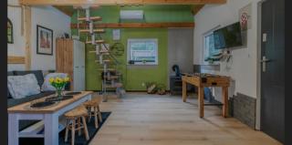 Domek Adam - Kozy - Kościerzyna - 6