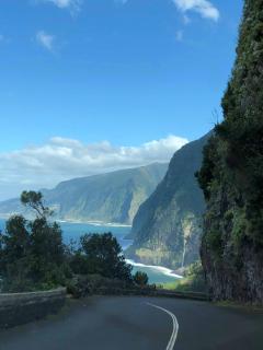 Madeira Dreams - 5