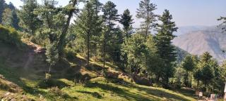 M H Hotel Murree - 4