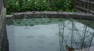 Kinugawa Niouson Plaza Hotel - 2