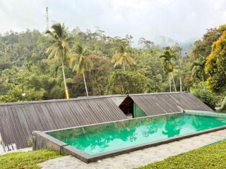 Sinharaja Forest Sanctuary - 3