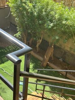 Red Sea Boutique - 2