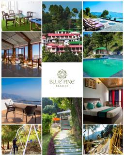 Blue Pine Resort - 2