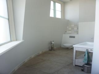 Renovated luxury water tower within walking distance of the beach boulevard - 3