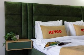 Studio KeyGo #0058 near the Ararat Museum - 4