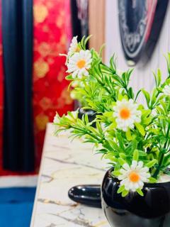 Model Apartment No 30 - Lahore - 1