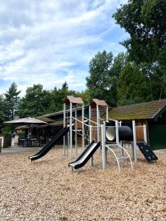 Boshuisje Rijk op de Veluwe - 6