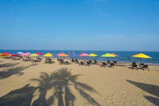 Flamingo Hải Tiến Căn hộ Khách sạn 5 sao - 4