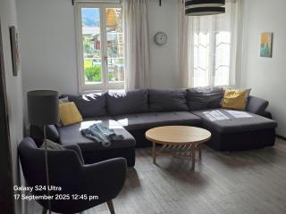 Jungfrau Family Holiday Home - 8