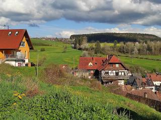 TOP Ferienhaus im Schwarzwald - 6