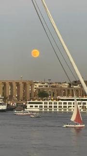 Luxor temple view - 1