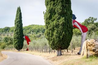 Casa Di Luca Country Home with private pool and garden, Castelnuovo Berardenga, Toscana - 7