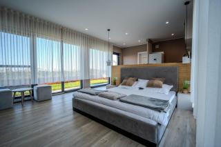 Casa Deluxe in Sinteu - intersectia intre modern si linistea naturii - 3