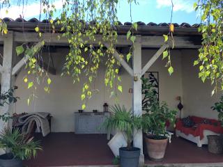 Chartreuse XVIII - 5