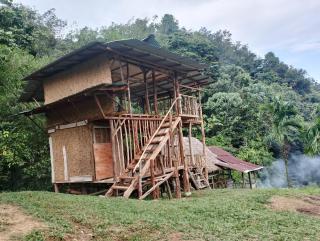 ORANGUTANTREKSUMATRA & LOVELY JUNGLE LODGE only book IF you are treking with us - 1