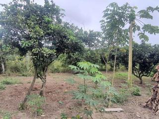 Sitio Rancho Feliz - 2