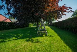 Ludogite au coeur des Hautes-Fagnes - 2