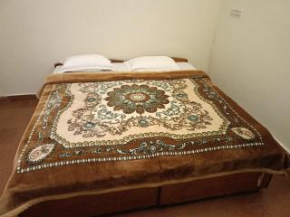 Abbu Royal Palace Cottage - 5