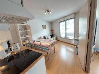 Appartement charmant centre village, près télécabines - FR-1-812-144 - 3