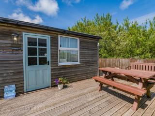 Spinnaker - 16828 - 9