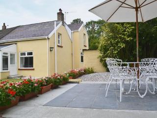 Bont Cottage - 9