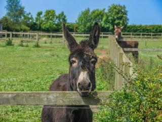 Hayloft- Uk31532 - 9