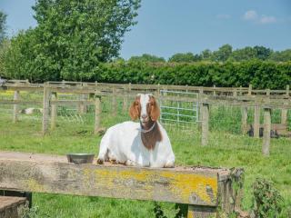 Hayloft- Uk31532 - 7