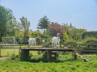 Hayloft- Uk31532 - 6