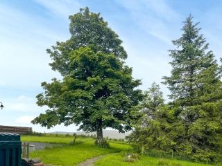 High Plain Lodge - 3