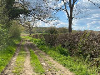 The Willows - Uk34000 - 2