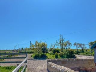 Cart Shed - Uk41245 - 6