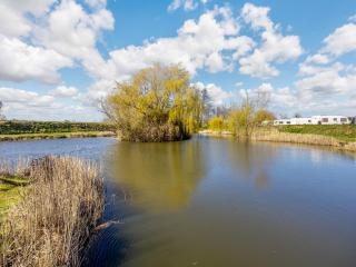 Willow's Cottage - Uk42144 - 6