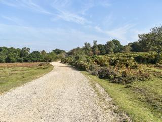 The Cottage At Dockens Water - Fritham - 9
