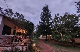The Big Cat's Den - Maravakandy Resort, Masinagudi - 0