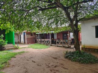 The Big Cat's Den - Maravakandy Resort, Masinagudi - 7